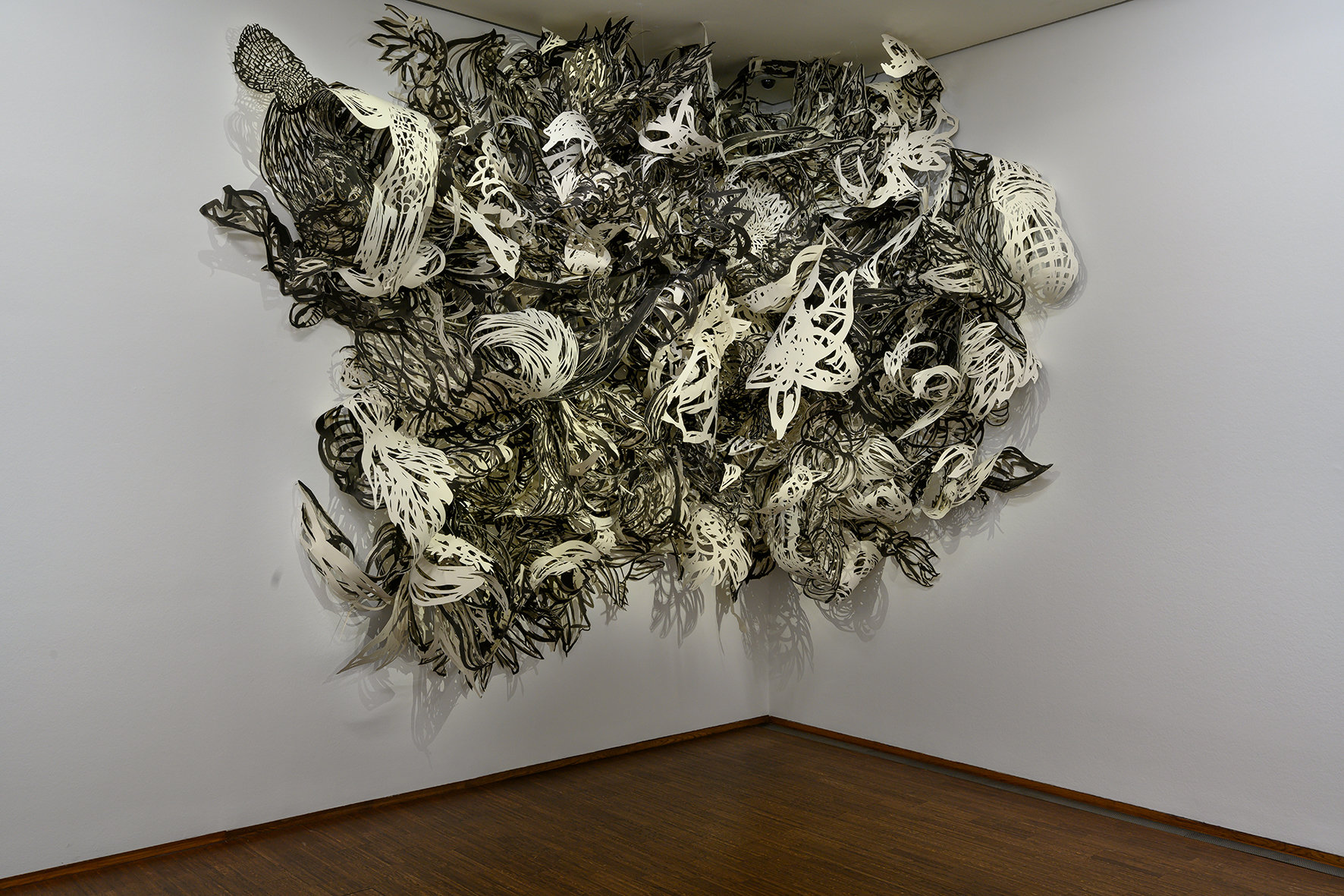 Faszination Papier_Albertina-wien-c-birgit-knoechl_foto_albertina