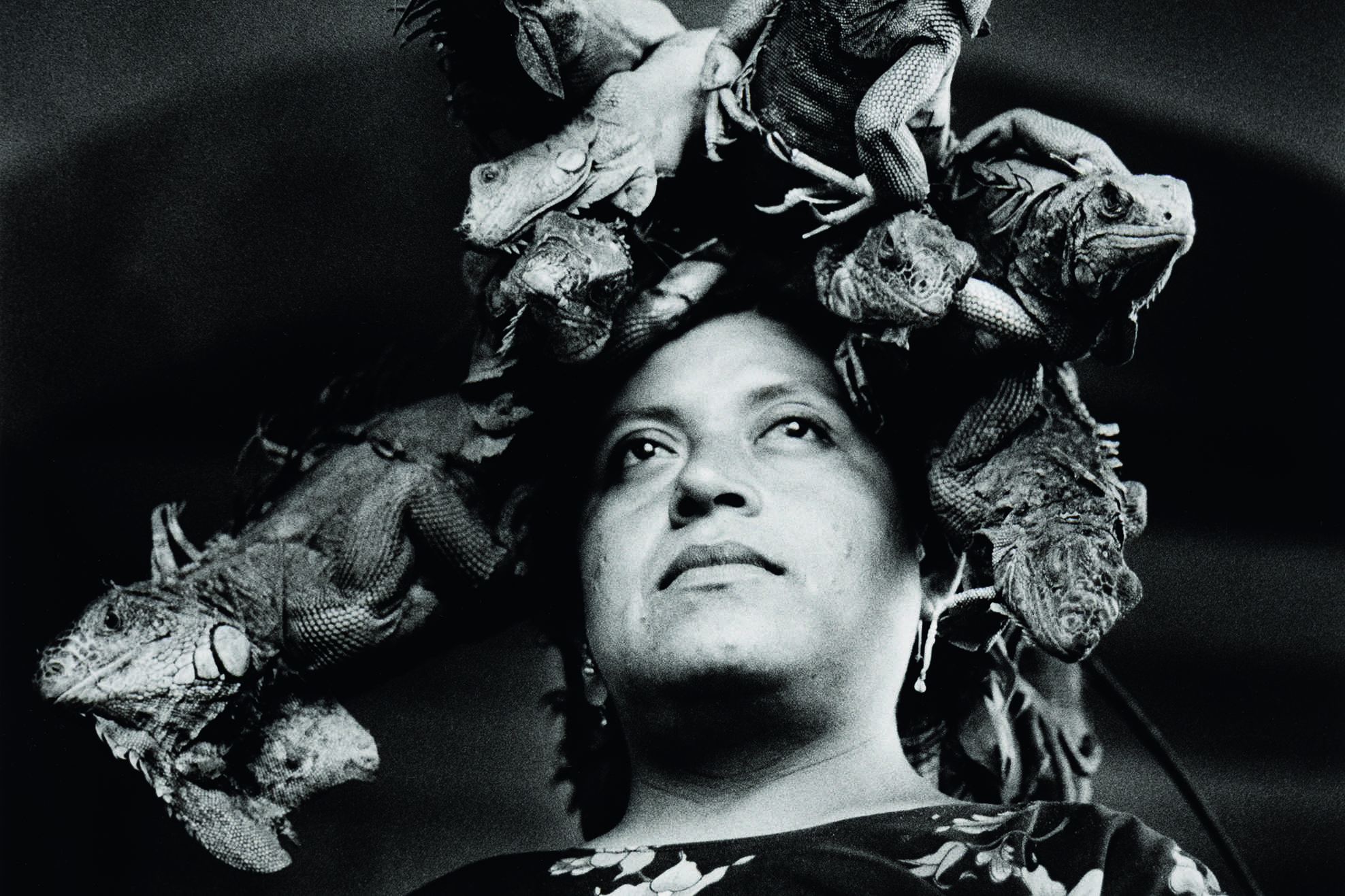 Dom Museum_tierisch_Iturbide_Iguana