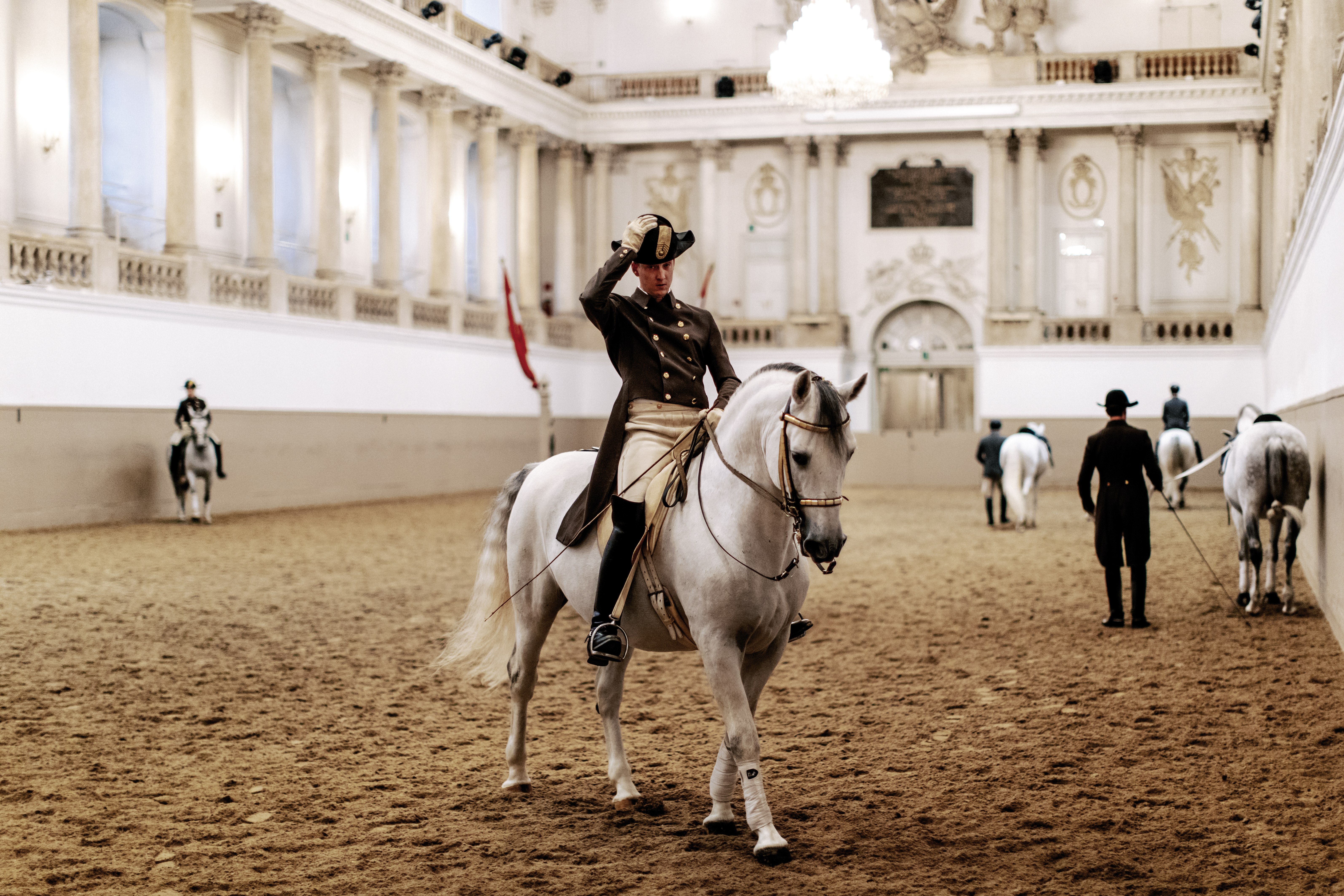 Das Foto zeigt die berühmten Lipizzanerhengste mit ihren Bereiter:innen beim Training in der Winterreitschule der Spanischen Hofreitschule