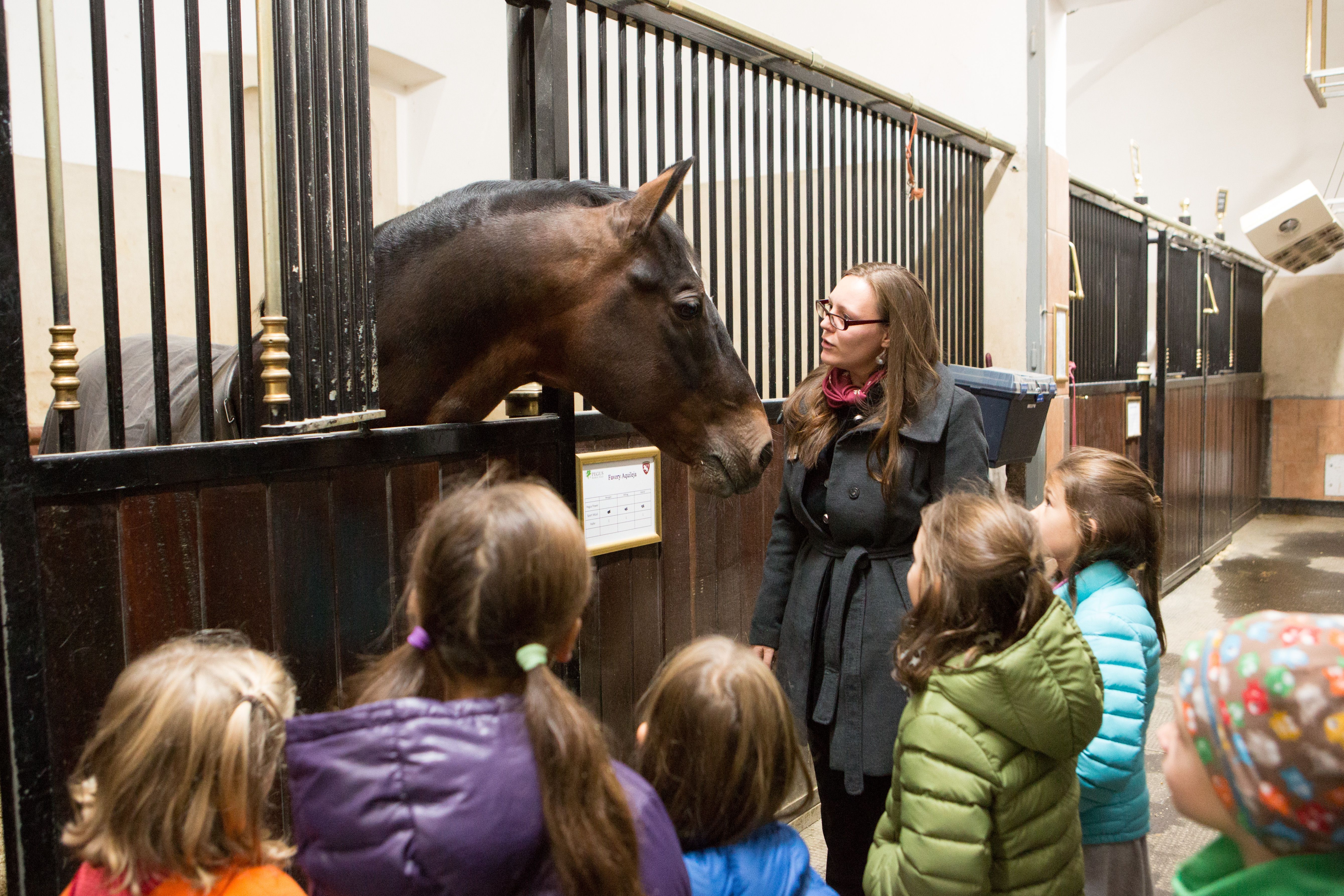 A group of children with a companion in front of a horse box in the stables of the Spanish Riding School
